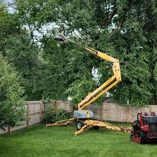 Best Leaf Removal  in Rockton, IL